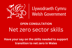Wales Consultation: Net Zero Sector Skills